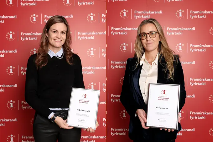 2025 Framúrskarandi Fyrirtæki EIM TVG Copy 2